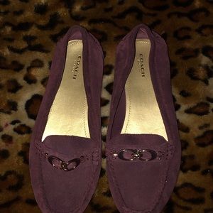Purple Suade Coach Loafers